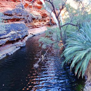 Kings Canyon Fluss, Australien, Ayers Rock, Uluru, www.soultravelista.de
