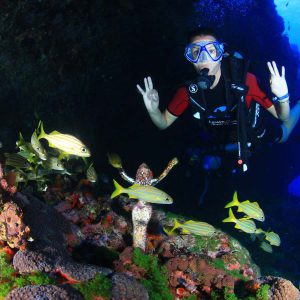 Diving Fernando de Noronha