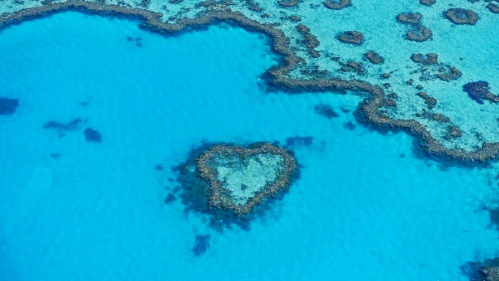 Great Barrier Reef Heart